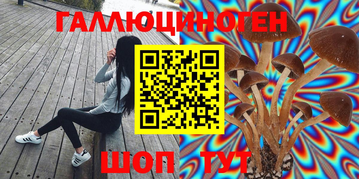 Людиново  Псилоцибиновые грибы MAGIC MUSHROOMS  Вход с VPN 