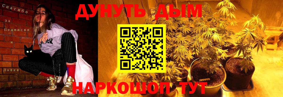 Конопля индика  Бошки марихуана SATIVA & INDICA  Людиново  МАРИХУАНА THC 21%  Вход с VPN  МАРИХУАНА THC 21% 